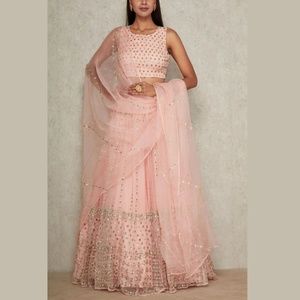 Stunning Blush Pink Embellished Lehenga Set